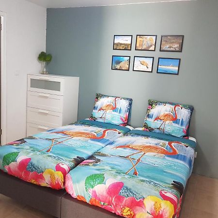 4-Pers Accomodatie Julianadorp, Curacao 威廉斯塔德 外观 照片