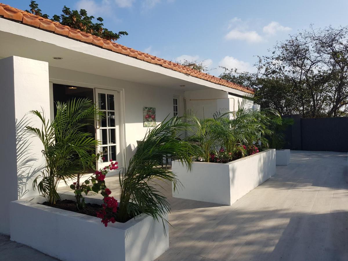 4-Pers Accomodatie Julianadorp, Curacao 威廉斯塔德 外观 照片