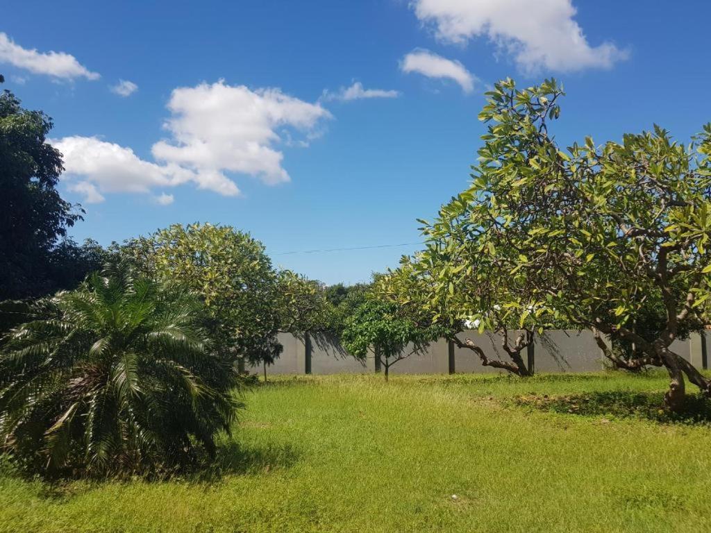 4-Pers Accomodatie Julianadorp, Curacao 威廉斯塔德 外观 照片